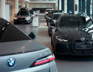 Naming System for BMW